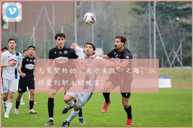 无畏契约的“电子竞技”之路,从热爱到职业的蜕变!
